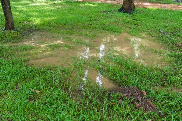 Cost of Storm Water Drainage Service in Lewes