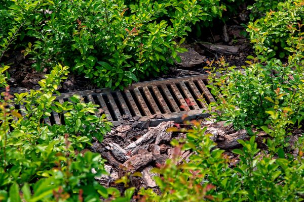 Cost of Underground Drainage Service in Lewes