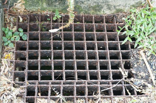 Cost of Yard Drain Cleaning in Lewes