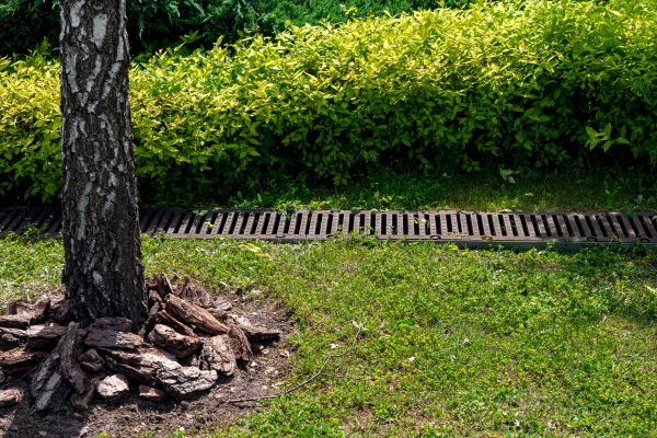 Cost of Wet Yard Drainage in Lewes