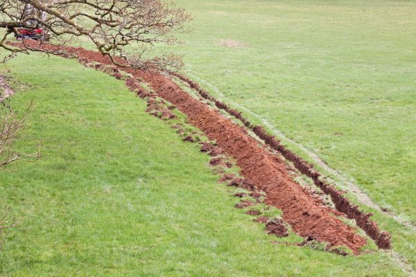 Cost of Swale Installation in Lewes