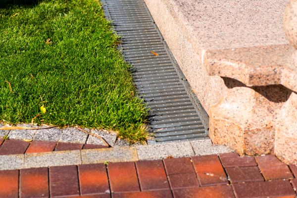 Cost of Drain Tile Repair in Lewes