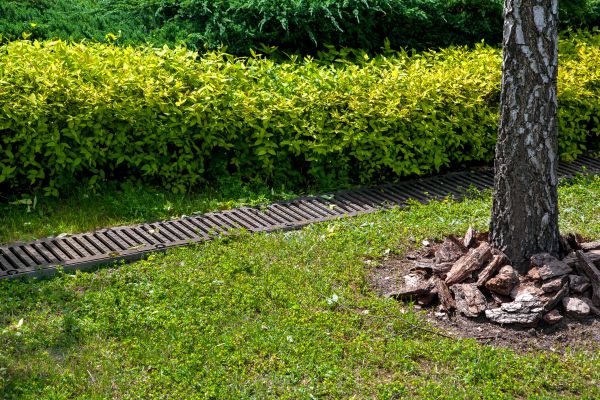 Cost of Residential Landscape Drainage in Lewes