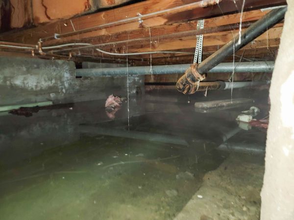 Cost of Crawlspace Drainage in Lewes