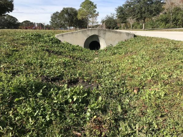 Cost of Swale Drainage Service in Lewes