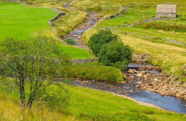 Cost of Swale Repair in Lewes